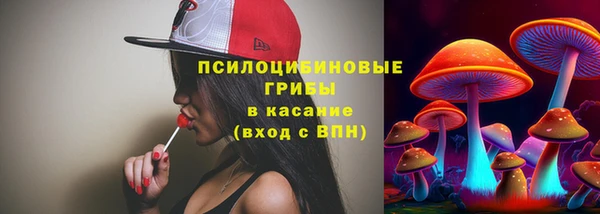 бошки Лиски