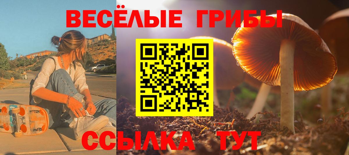 где купить   Псилоцибиновые грибы MAGIC MUSHROOMS  Таганрог  Вход с VPN  Псилоцибиновые грибы MAGIC MUSHROOMS 